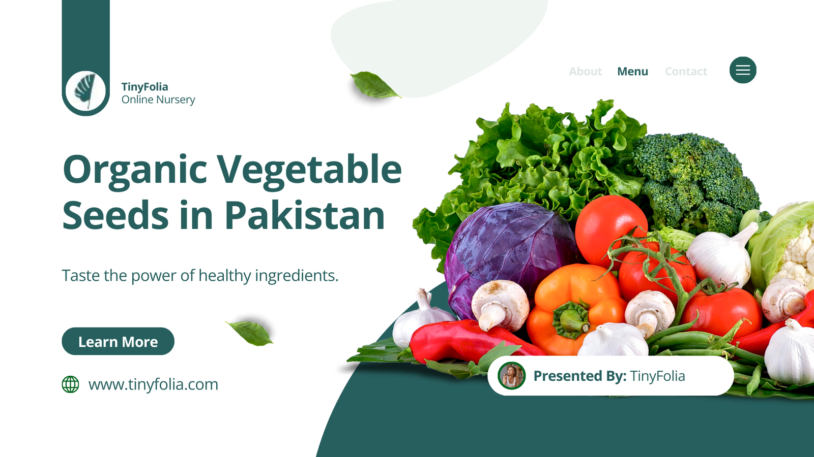 Organic Vegetable Seeds in Pakistan
