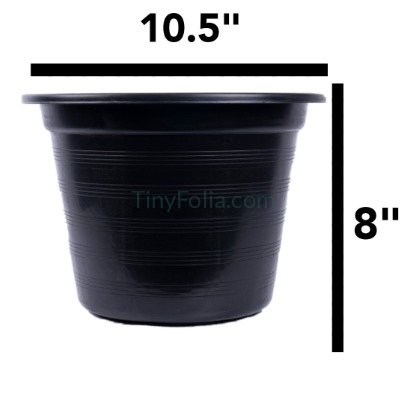 Premium Black Pots - Various Sizes