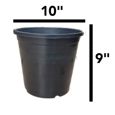 Premium Black Pots - Various Sizes