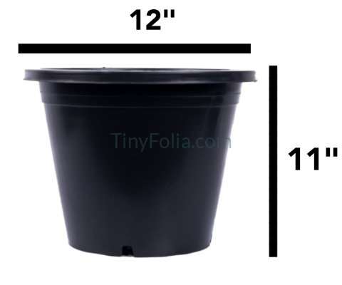 Premium Black Pots - Various Sizes