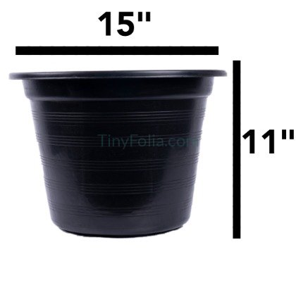 Premium Black Pots - Various Sizes