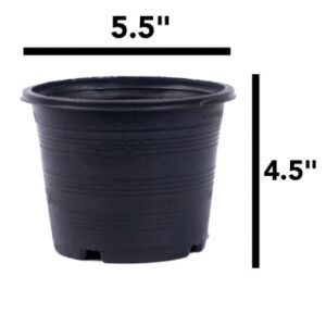 Premium Black Pots - Various Sizes