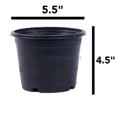 Premium Black Pots - Various Sizes