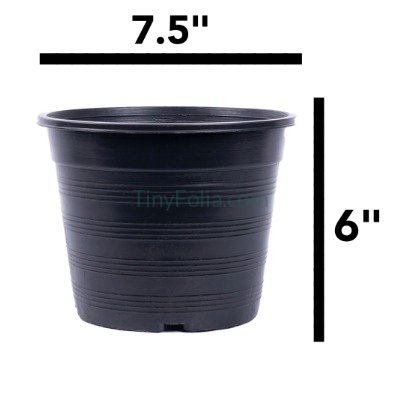Premium Black Pots - Various Sizes