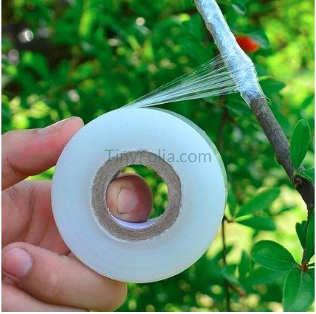 Grafting Tape White and Green