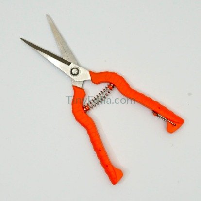 Dingdeli 4 Hand Pruner | Professional Pruning Tools