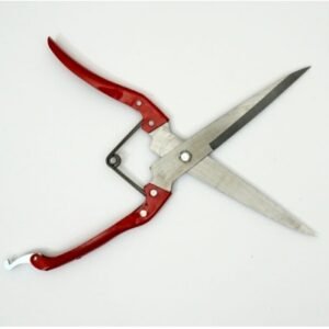 Hand Pruner 5 | Professional Gardening Tools
