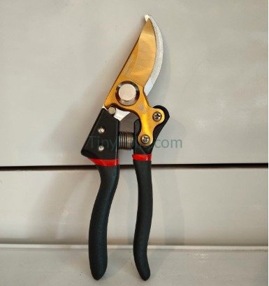 Premium Hand Pruner | Professional Gardening Tool