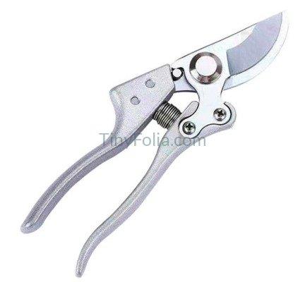 Kapusi Professional Hand Pruner | Premium Gardening Tools