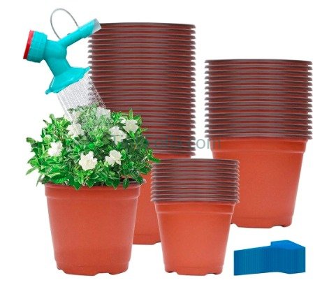 Small Shower (Bottle Attachment Watering Tool)